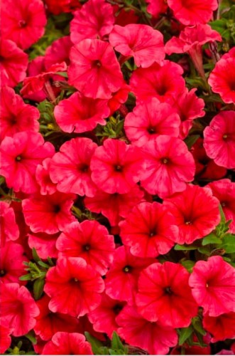 IMG_4161.jpeg