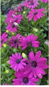 IMG_4179 (1).jpeg