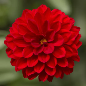 IMG_5404.png