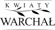 Logo tekstowe - strona główna